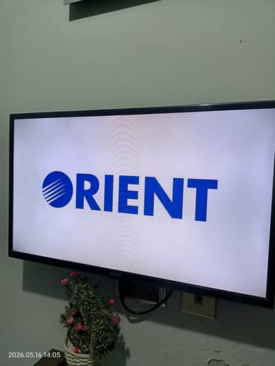 ORient Tiger series 32"