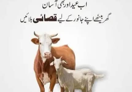 qarbani ka janwer kerwan ka. la ya rabta kera