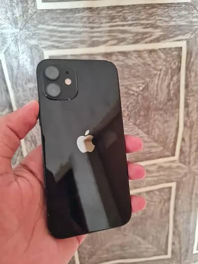 Apple iPhone 12 1