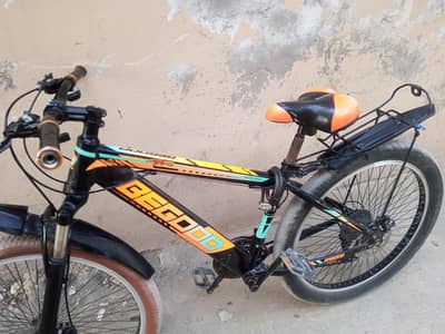two while cycle