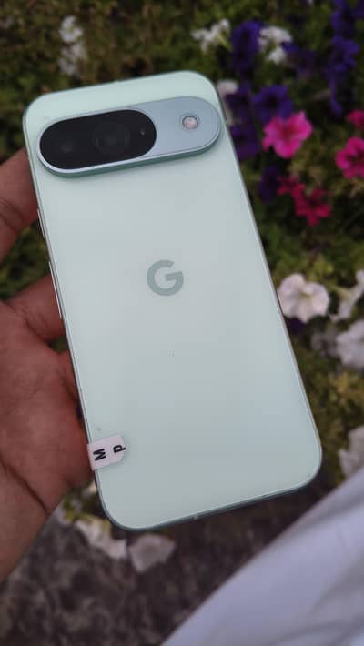 Google pixel 9 Approved
