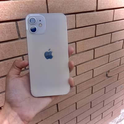Iphone 12 Pta Approved
