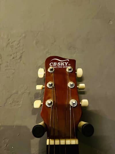 Acoustic guitar