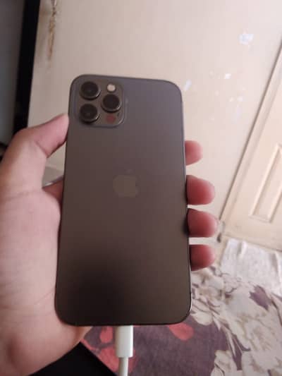 iphone 12 pro