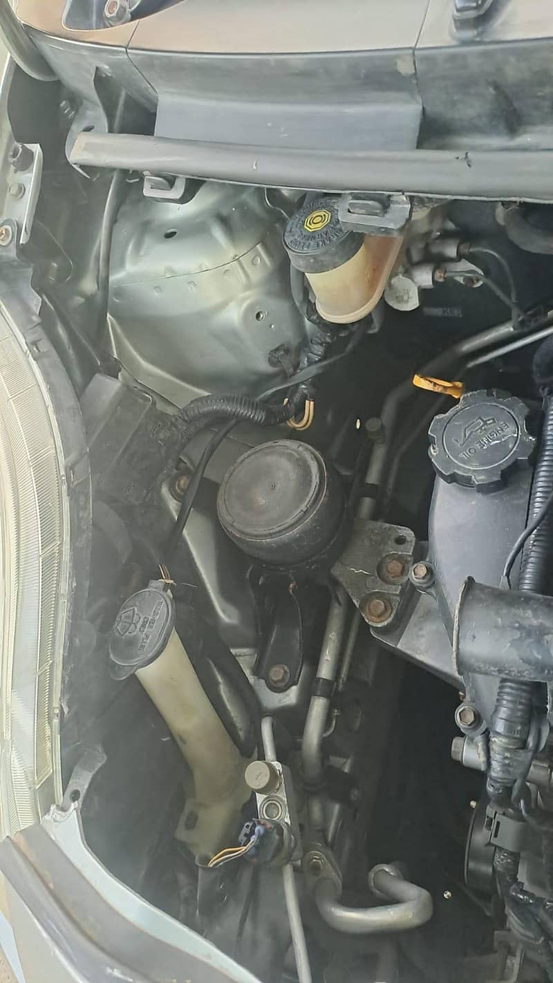 Vitz 2006 12
