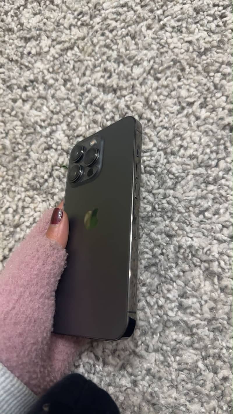 13 pro 0