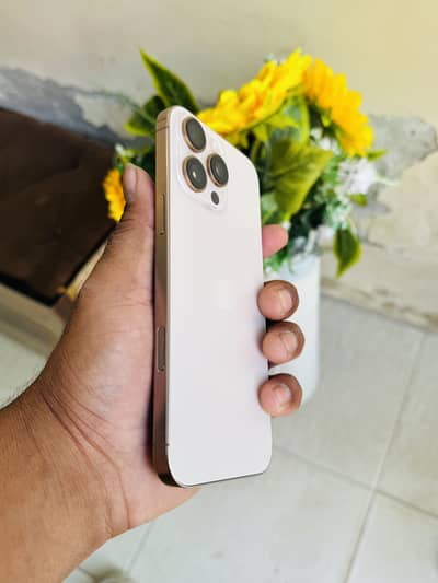 IPhone 16 pro max 256gb Bypass