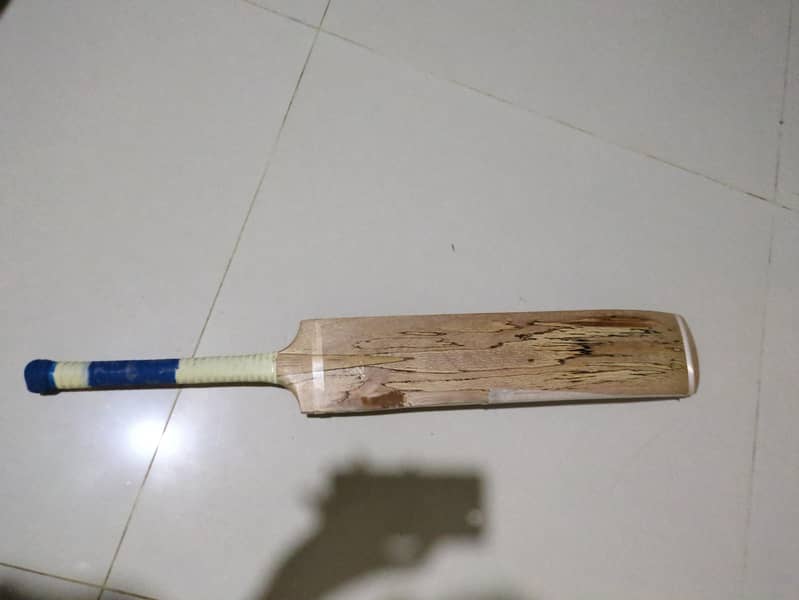 coconut bat 0