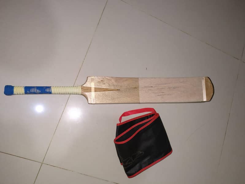 coconut bat 1