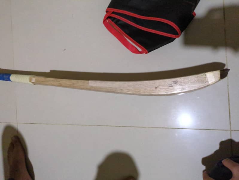 coconut bat 2