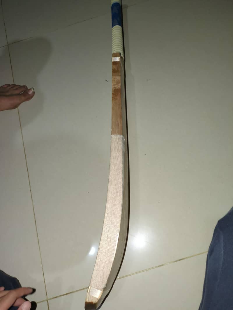 coconut bat 3