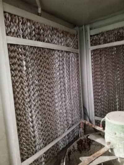 air cooler