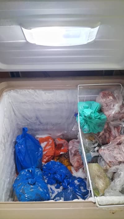Deep freezer twinn/inverter