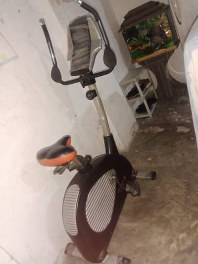 exercise Cycle