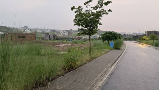 Prime Location Street 4 Level Plot For Sale