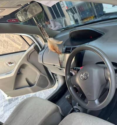 Vitz 2009 model for sale