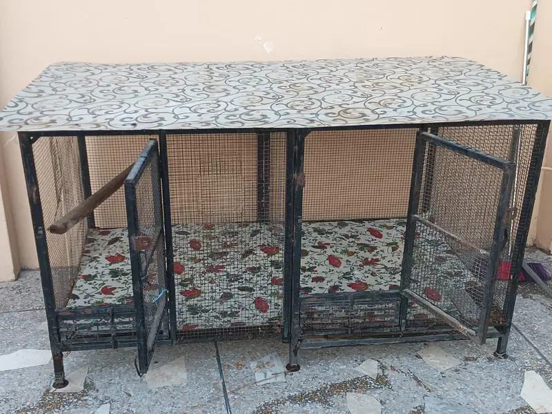 Cage full heavy