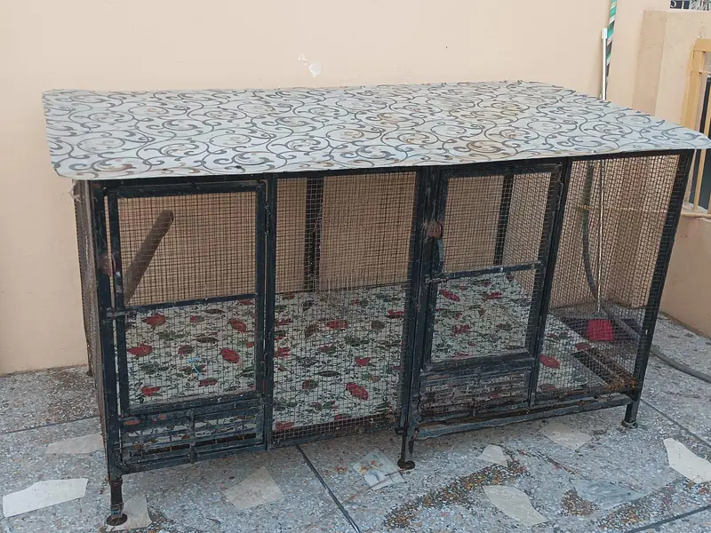 Cage full heavy — photo 3