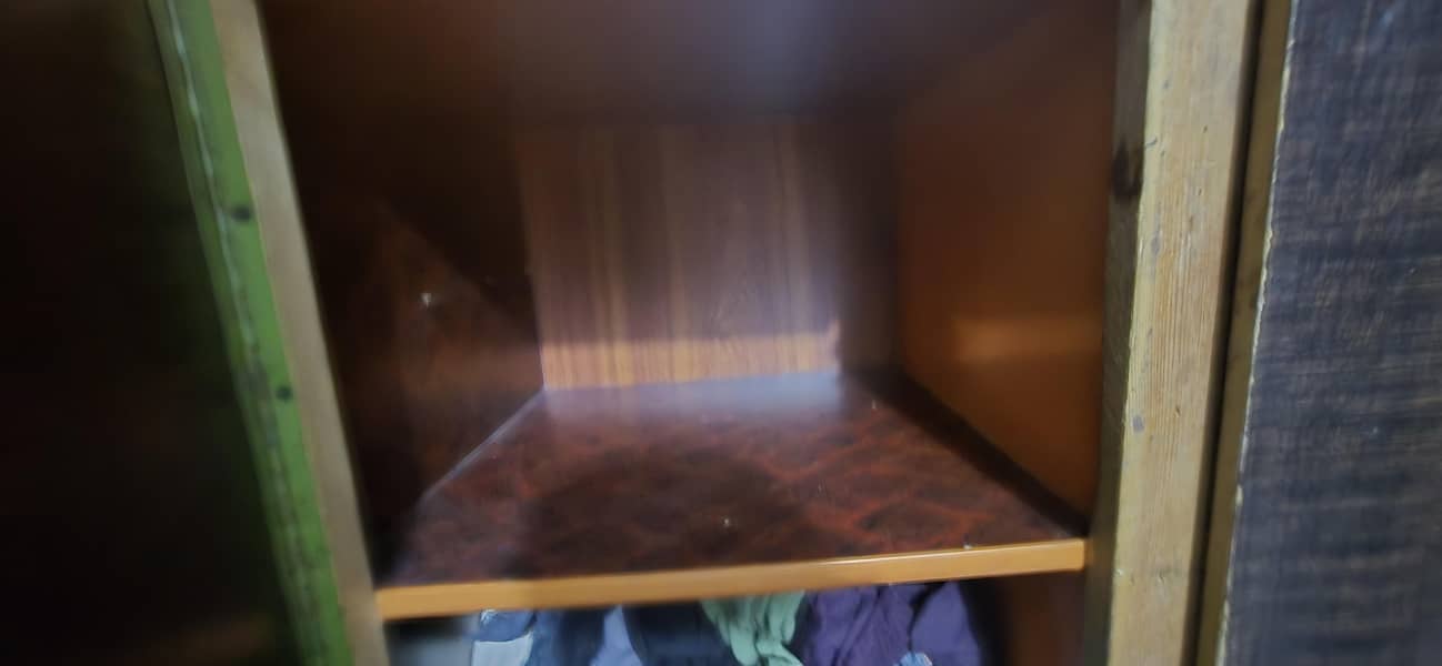 Solid wood 11