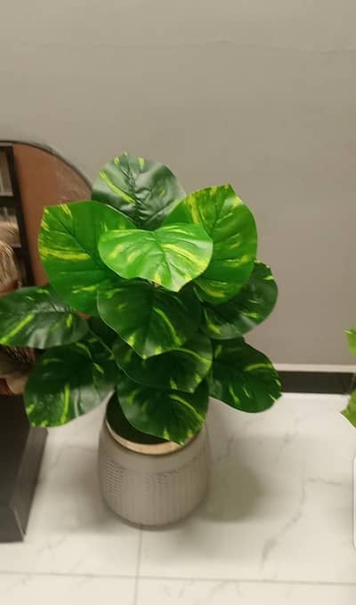 Artificial Plants