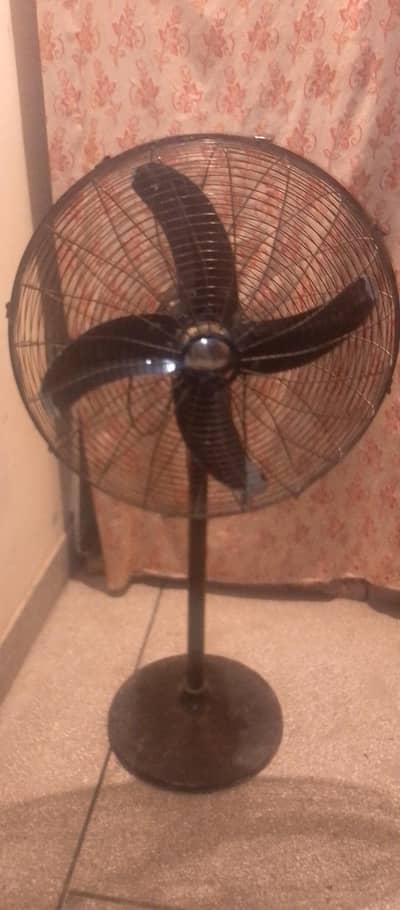 fan pankha