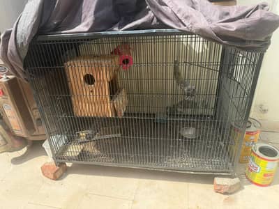 cage for sale