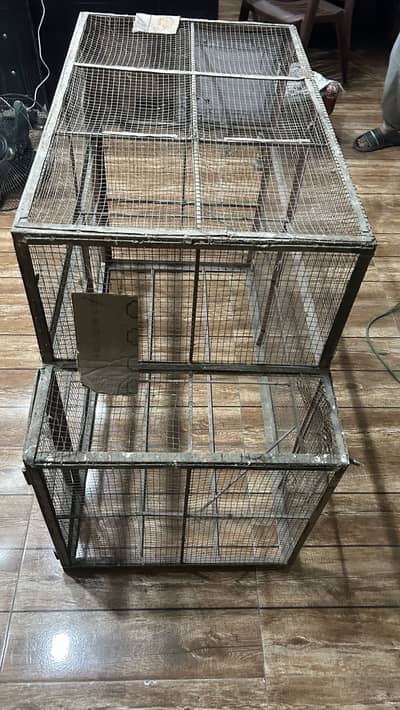 Birds Cage for sale