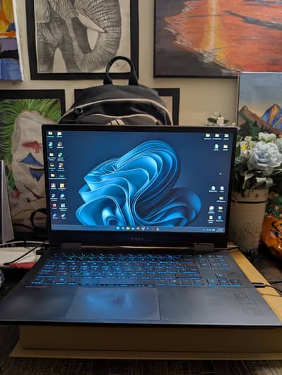 HP OMEN 15 GAMING LAPTOP. 16GB RAM, 1TB NVME SSD, GTX 1660ti