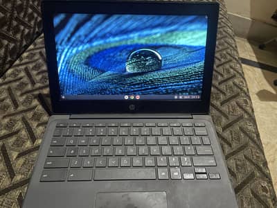 Hp chrome book 4/16