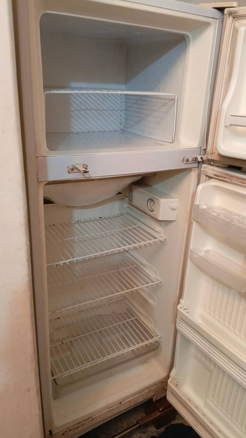 Singer Fridge 1