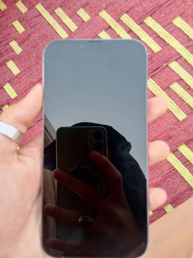 iphone 13 pro max 1