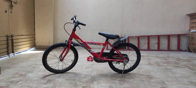 cycle 18 size