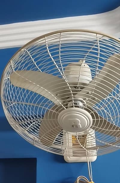 Royal wall fan