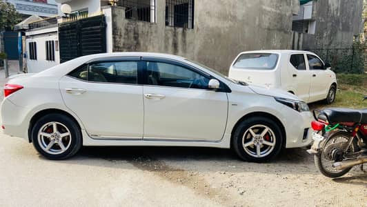 Corolla gli