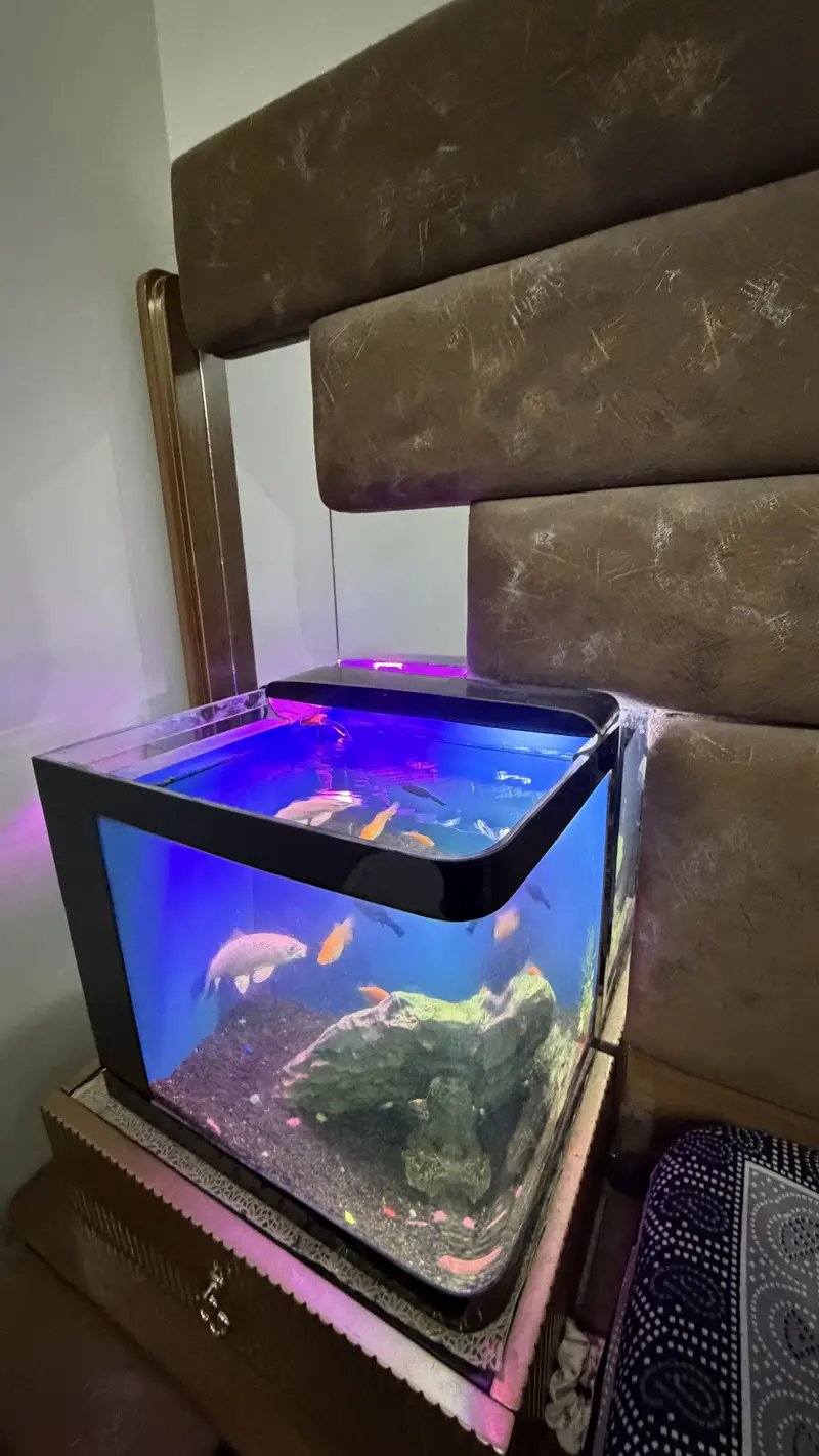 Table size Aquarium for Sale