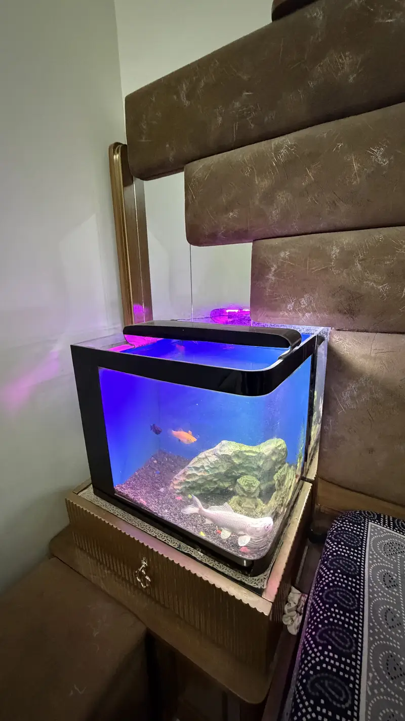 Table size Aquarium for Sale — photo 2