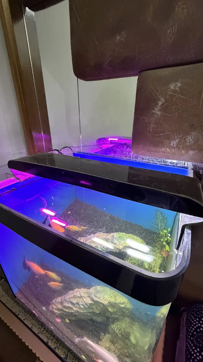 Table size Aquarium for Sale — photo 3
