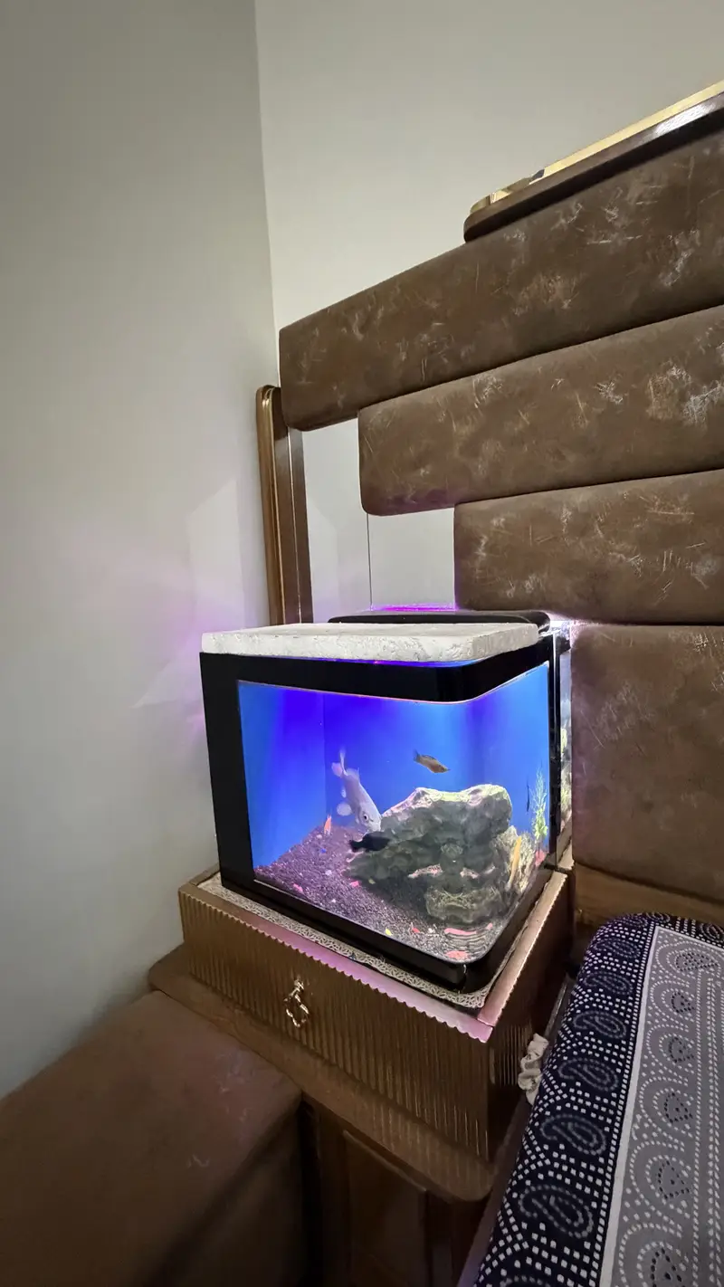 Table size Aquarium for Sale — photo 4