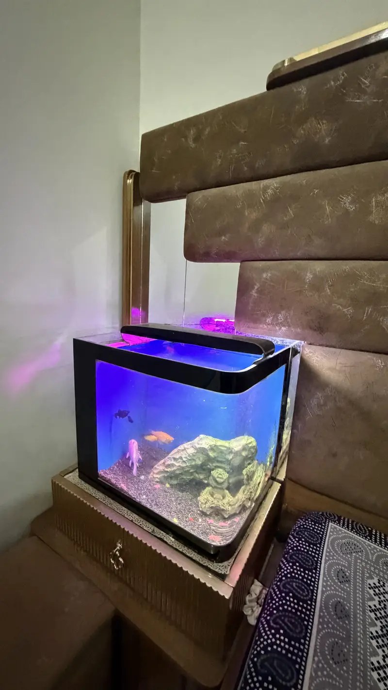 Table size Aquarium for Sale — photo 5