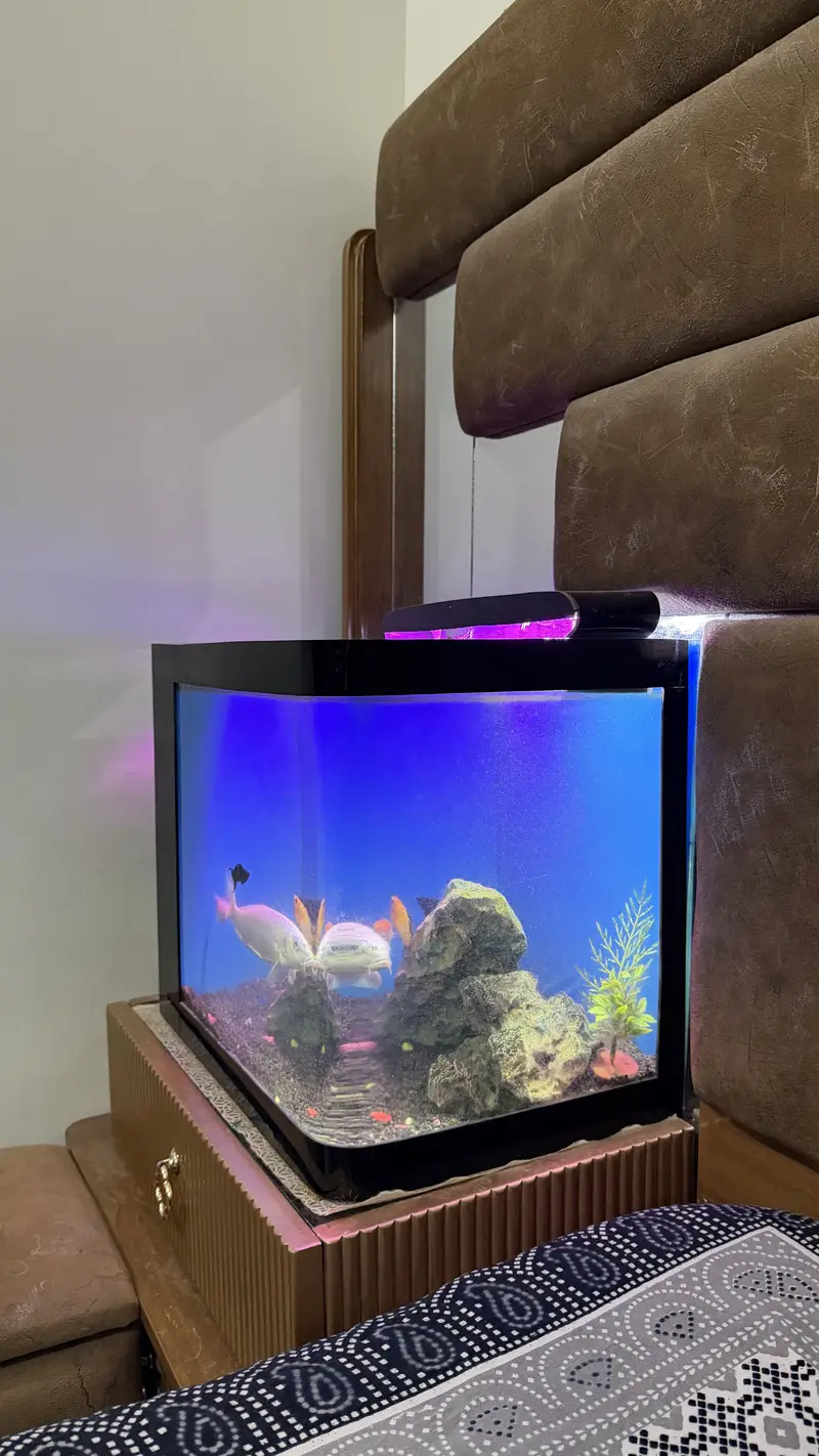 Table size Aquarium for Sale — photo 6