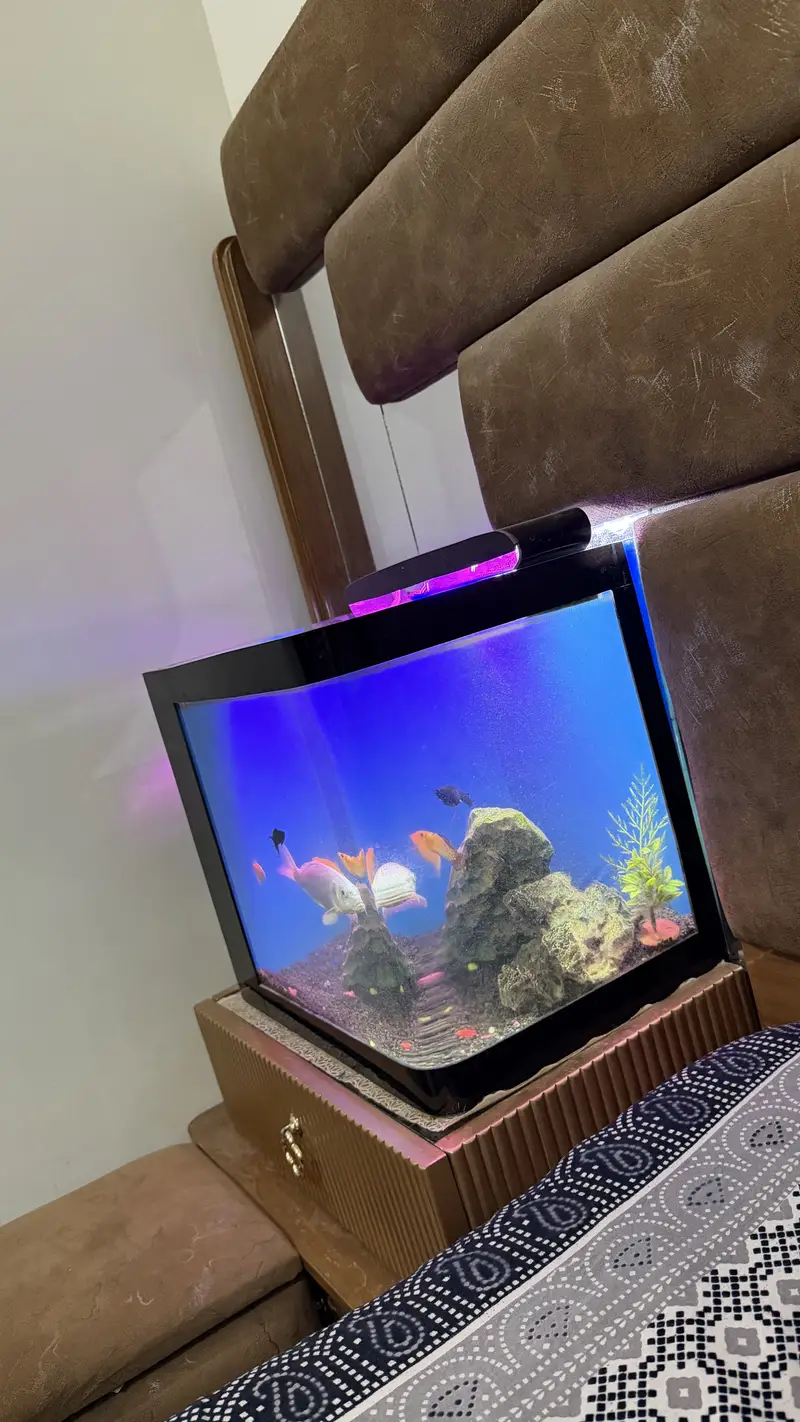 Table size Aquarium for Sale — photo 8