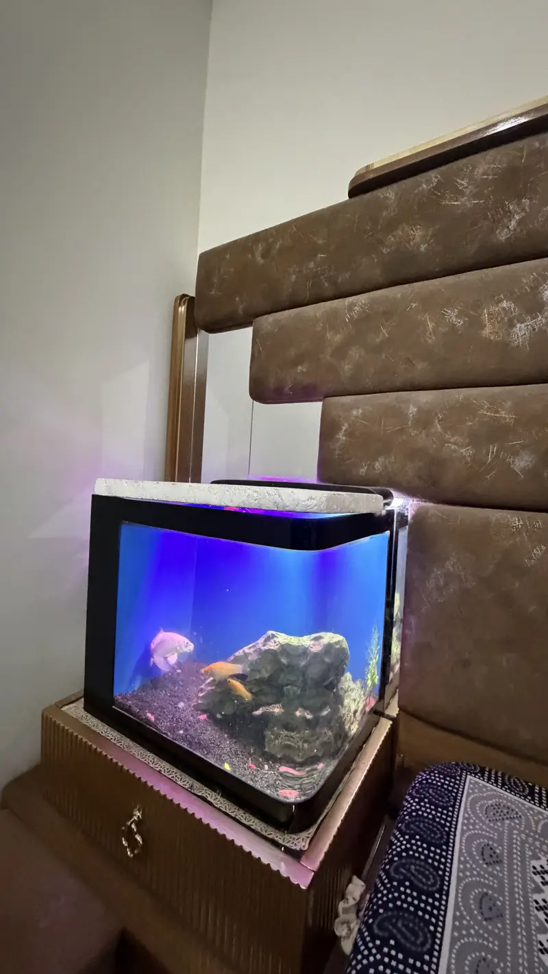 Table size Aquarium for Sale — photo 10