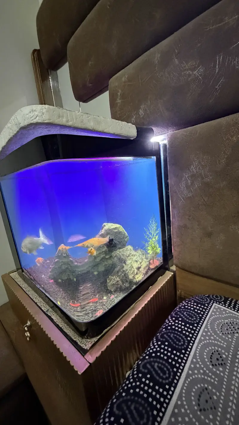 Table size Aquarium for Sale — photo 12