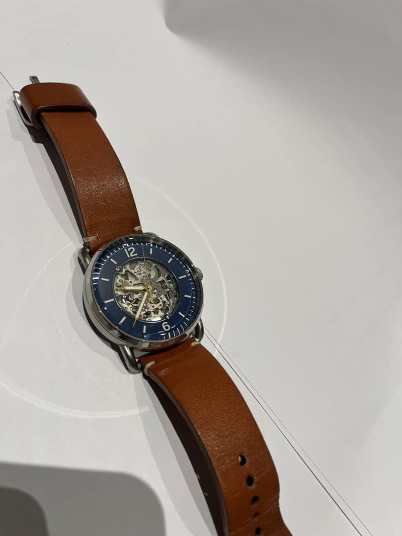 Skeleton automatic fossil 3