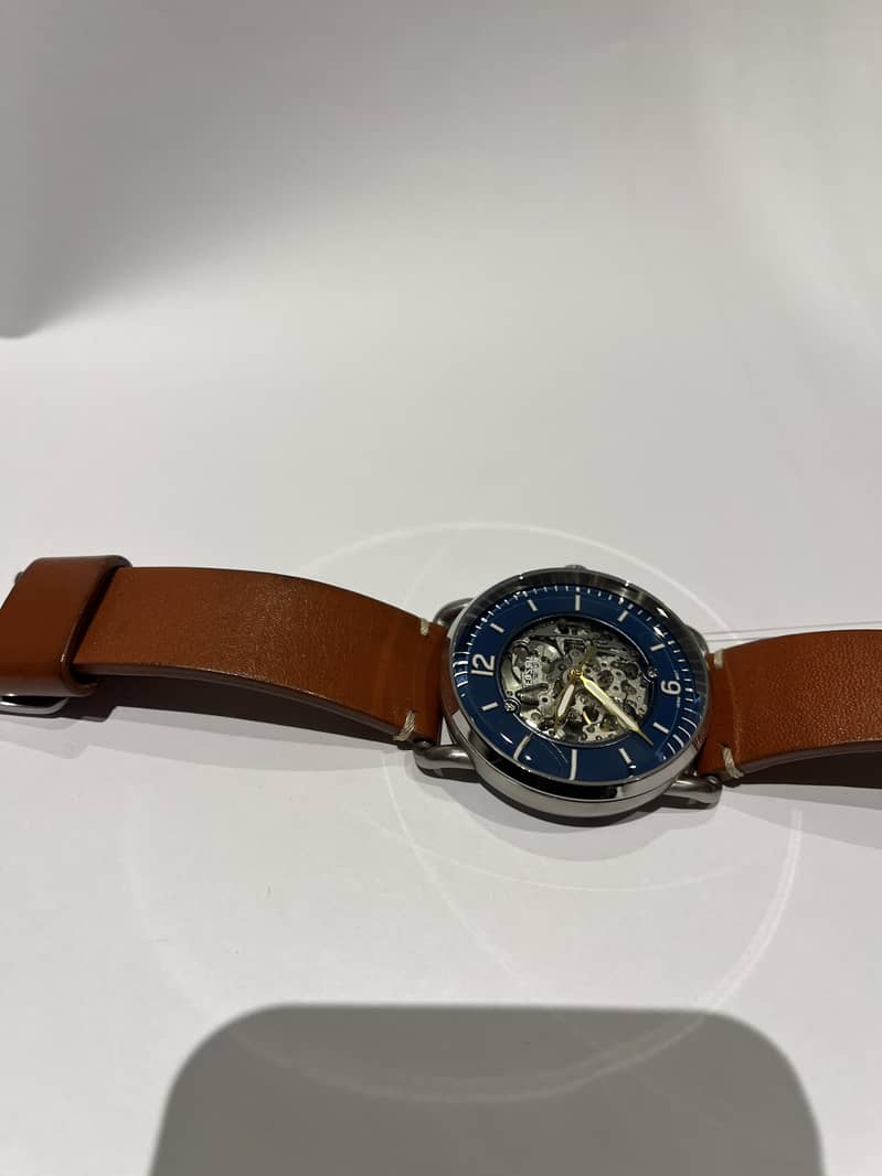 Skeleton automatic fossil 4