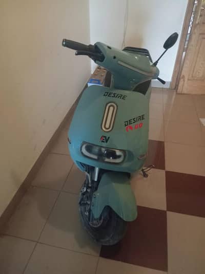 Scotty for sale