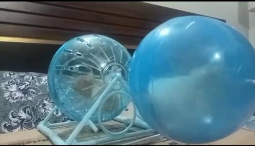Hamster ball 4 in 1