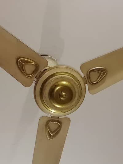 ceiling fan