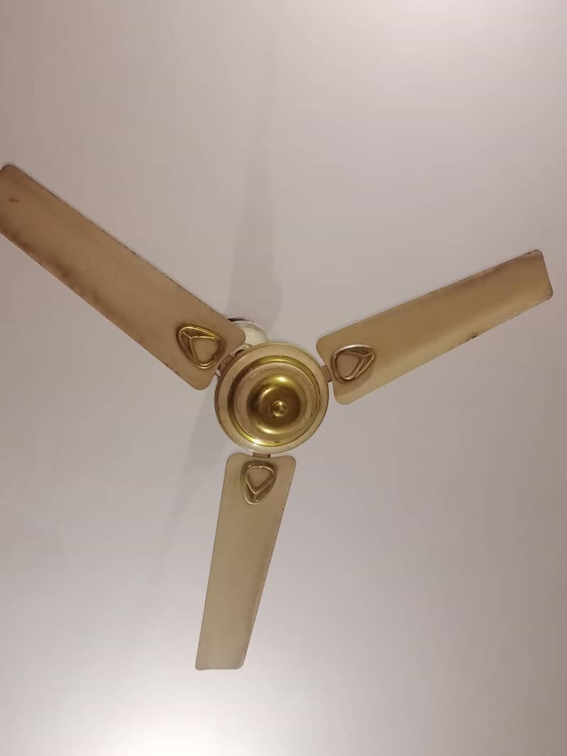 ceiling fan 1