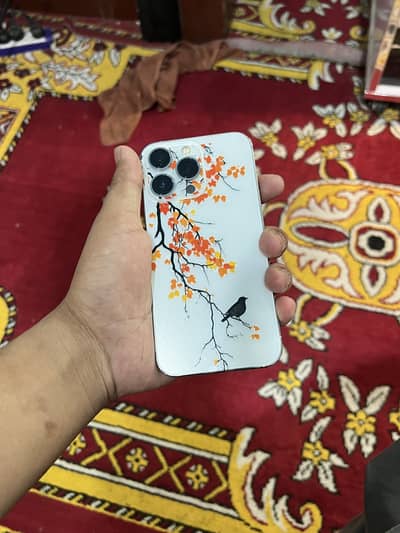 Iphone 13 pro